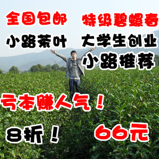  新茶春茶宜兴绿茶 茶叶 特级绿茶 碧螺春 包邮 大学生创业