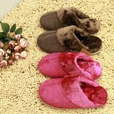 ●自由自小内殿● 内裤 打底 袜子 批发价零售店