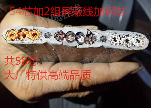 江苏河阳线缆48芯*0.75带屏蔽带钢芯电梯随行扁电缆|msdalam kategori elektronik/Electrician, Wire, kabel - dari Buy2taobao.com untuk memberikan perkhidmatan ejen Taobao profesional membeli