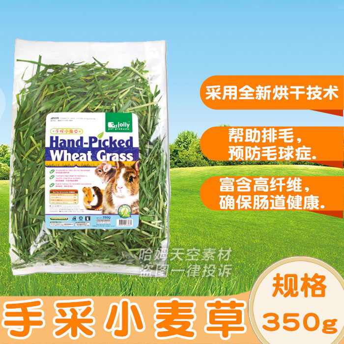 Jolly祖莉 手採小麥草—350g 兔子龍貓豚鼠荷蘭豬 小寵物專用牧草在類目 寵物/寵物食品及用品, 倉鼠類及其它小寵, 飼料/零食中 - 來自Buy2taobao.com提供專業的淘寶代購服務