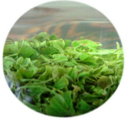 正银杏茶 嫩芽 买2送一 再送礼 试喝1份包邮 新头茬 正当品叶花在类目 传统滋补营养品, 养生茶中 - 来自Buy2taobao.com提供专业的淘宝代购服务