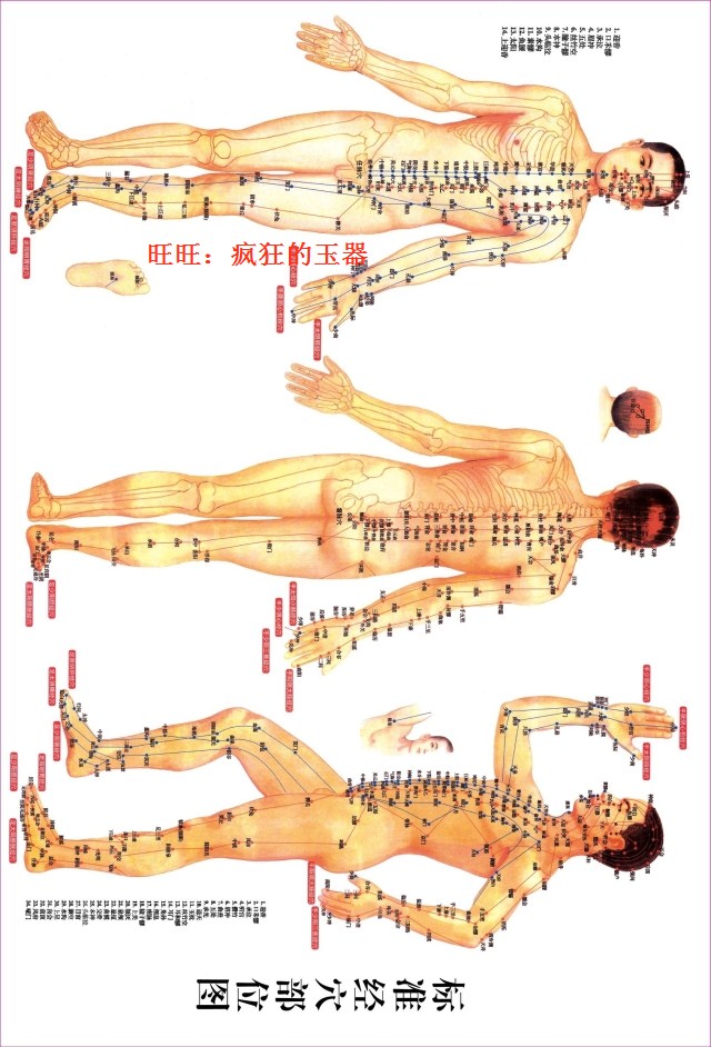 砭石刮痧板 砭石刮痧穴位圖在類目 個人護理/保健/按摩器材, 經絡保健器材, 刮痧片/板中 - 來自Buy2taobao.com提供專業的淘寶代購服務