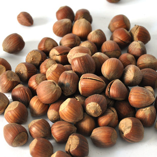  榛子 特产坚果 大尖榛子 开口榛子 休闲零食 原味 年新货 80g