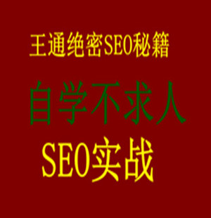 首页-王通绝密SEO视频教程