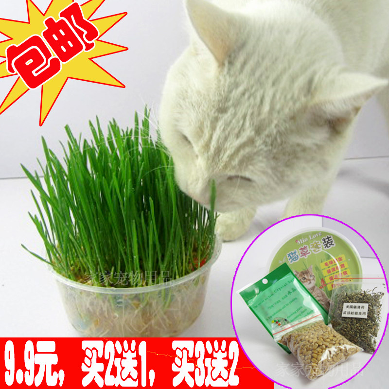 猫咪用品水晶猫草种植套装送猫薄荷猫猫狗狗去毛球 秒杀包邮9.9元