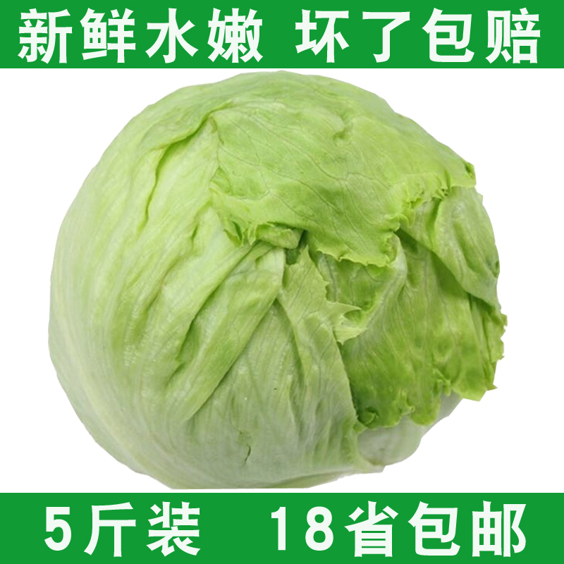 5斤装山东农家球生菜新鲜沙拉菜汉堡西生菜球纯天然圆生菜蔬菜|ruв категории водной мясо/свежие фрукты и овощи/еда, свежие овощи/овощной продукции, свежие овощи, другие - от Buy2taobao.com для оказания профессиональной услуги покупки агента Taobao
