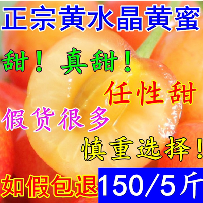黄樱桃 黄水晶 黄蜜樱桃 山东烟台大樱桃 孕妇小
