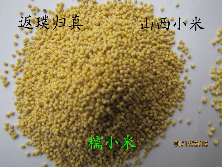 Back to Basics Shanxi Glutinous millet Soft rice)Small particles qinhe river Valley Yellow milletin the Agri rice/Dried foods/Condiment , Meter/Flour/Grains , Rice , Polished glutinous rice category - from Buy2taobao.com to provide professional Taobao agent buy service