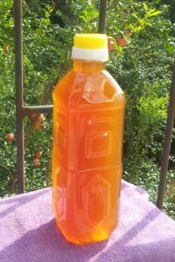 【忆起自己】生姜酵素 自制蜂蜜酵素原液 综合