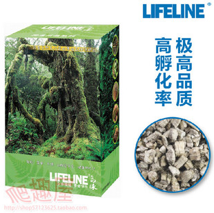 命脉蛭石LIFELINE孵化石龟蛋孵化盒蜥蜴变色