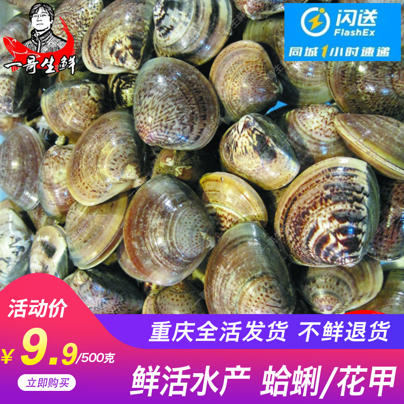 壹哥生鮮 海鮮 鮮活 蛤蜊 新鮮gala花蛤 花甲 文蛤 500克水産在類目 水產肉類/新鮮蔬果/熟食, 海鮮/水產品/製品, 貝類, 貝類製品中 - 來自Buy2taobao.com提供專業的淘寶代購服務