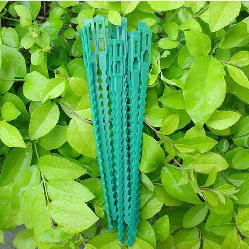 Vine Climbing Botany Plastic Grips Reusable Ligature gardens gardening Garden Suppliesin the Flower delivery/Flowers simulation/Plants gardening , Gardening supplies , Other Garden Supplies category - from Buy2taobao.com to provide professional Taobao agent buy service