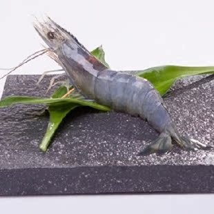  文莱皇室御用蓝虾  刺身寿司 文莱蓝虾 海鲜虾类日式食材烧烤美食