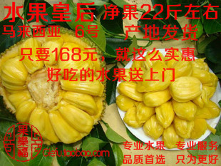  海南新鲜菠萝蜜 菠萝蜜 香甜马来6号 香甜可口 好吃不上火 包邮