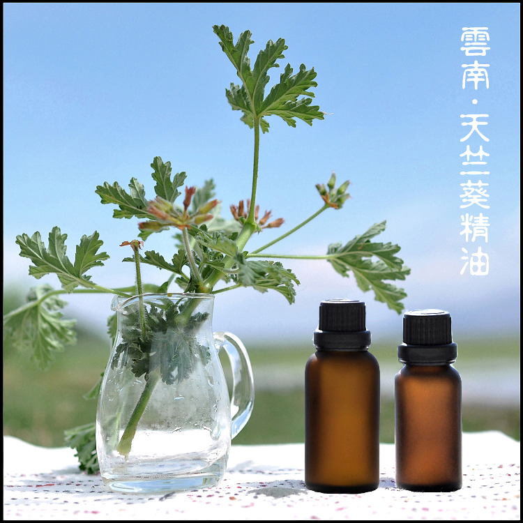 荷月啸歌之香叶天竺葵护肤精油 护肤精油 古法蒸馏获取植物纯品在类目 美容护肤/美体/精油, 精油芳疗, 单方精油中 - 来自Buy2taobao.com提供专业的淘宝代购服务