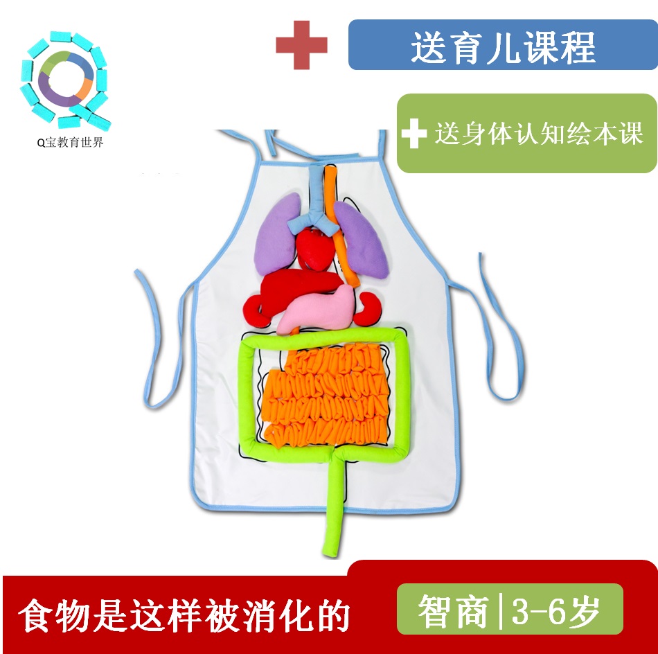 lelebe幼儿园科教内脏教学用具儿童益智立体器官围裙早教亲子教具|msdalam kategori Toy/bayi/teka-teki/blok bangunan/model, Pembelajaran awal/mainan pintar, alat bantuan Early Learning/Kit Pembelajaran awal - dari Buy2taobao.com untuk memberikan perkhidmatan ejen Taobao profesional membeli