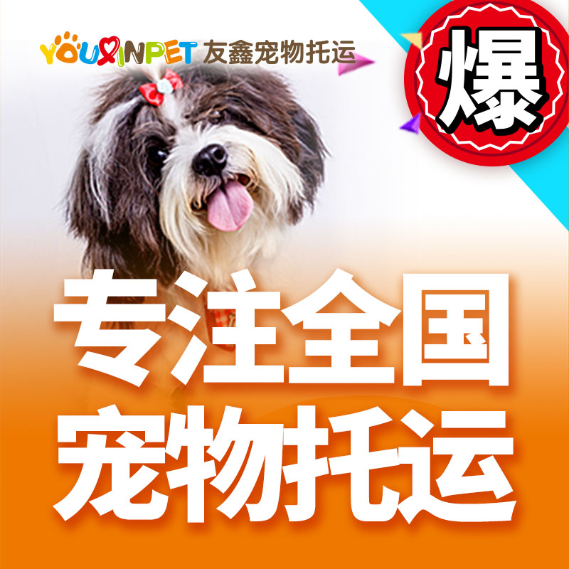 友鑫宠物托运北京上海广州深圳到全国宠物托运服务代办手续猫狗在类目 宠物/宠物食品及用品, 宠物生活服务, 宠物托运中 - 来自Buy2taobao.com提供专业的淘宝代购服务