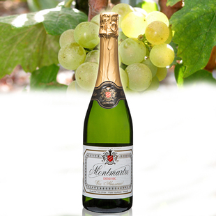  巴黎之花半甜起泡酒女士香槟 酒法国波尔多进口红酒气泡酒葡萄酒