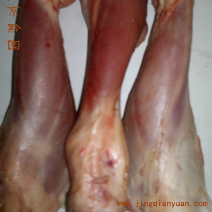  【京黔园】绿色食品 新鲜羊肉 鲜小羊腿 羊腿 北京同城配送