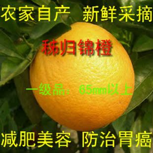  三峡新鲜水果春季空白期橙子秭归锦橙她他爱甜美脐橙子20斤包邮