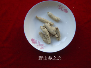  滋养堂正品 野生西洋参 花旗参 有机西洋参 1斤包邮 参类保健品