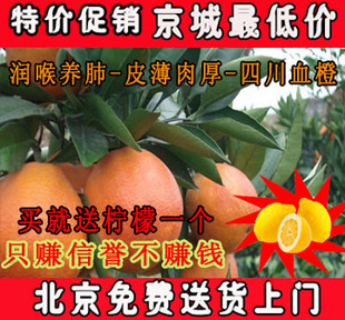  北京包邮 新鲜水果 血脐橙 四川资中塔罗科血橙 9斤礼盒装