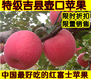  山西特产正宗吉县苹果红富士 新鲜水晶特级 非阿克苏烟台苹果特价