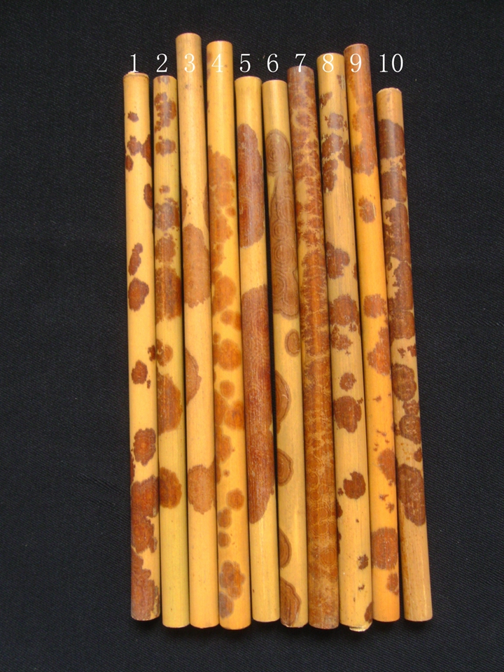 精品红湘妃竹小料 毛笔杆 蜡底红花紫花 1.4.5.6 .7号已结缘