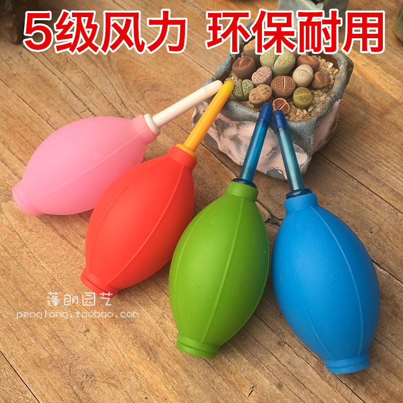 出口吹塵球防劃傷多肉氣吹球環保矽膠吹子多肉植物除灰塵清潔工具在類目 鮮花速遞/花卉仿真/綠植園藝, 園藝用品, 其它園藝用品中 - 來自Buy2taobao.com提供專業的淘寶代購服務