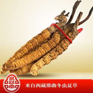  方家铺子 西藏那曲野生冬虫夏草 极品虫草礼盒装10g(800只/斤)