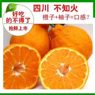  橘子 不知火 堪比椪柑芦柑 四川丑桔 鲜果 新鲜水果 四川特产