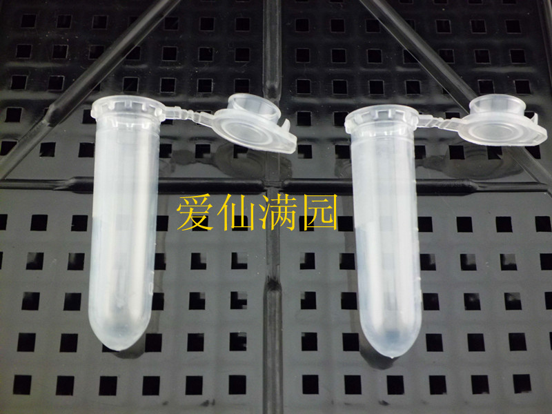 江苏爱仙满园 2毫升/5毫升多肉种子瓶 淘网低价 特价在类目 鲜花速递/花卉仿真/绿植园艺, 园艺用品, 其它园艺用品中 - 来自Buy2taobao.com提供专业的淘宝代购服务