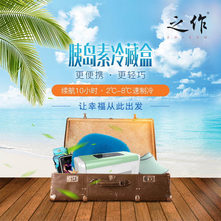 Insulin Cold boxes Portable Take it with you charge drugs Vaccine Probiotics vehicle Cooling vehicle household 2-8 degreein the Car/Articles/Fitting/Refit , Car Audio/Car Electronics/Electric , Car Electronics/Electric , Car heating box category - from Buy2taobao.com to provide professional Taobao agent buy service