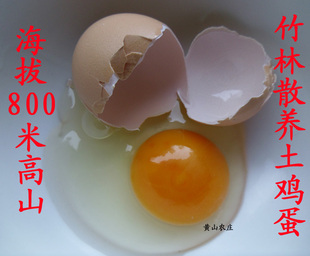  黄山800米海拔土鸡蛋农家散养草鸡蛋柴鸡蛋虫子鸡蛋笨鸡蛋