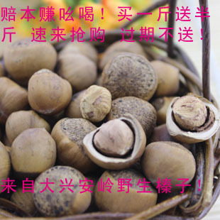  东北大兴安岭野生火榛子 熟榛子 炒榛子毛榛子 坚果 批发