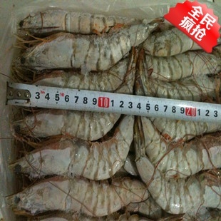  虾 野生新鲜大海虾 对虾 新鲜海鲜 船上速冻 油闷大虾 特价