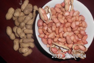  自家种花生休闲食品带壳花生年货特产原味干花生纯天然新鲜花生