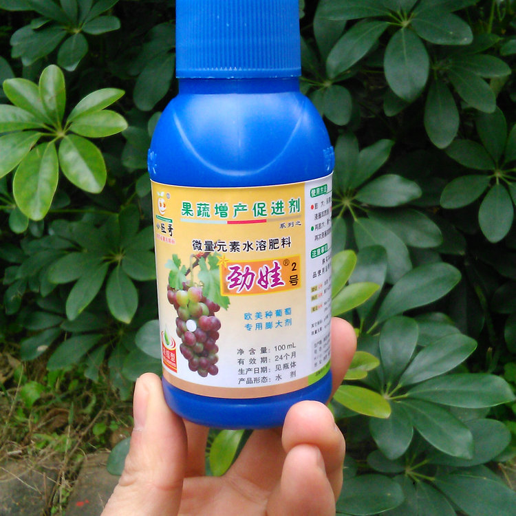 促销 小旺哥 葡萄专用膨大剂 劲娃2号 葡萄膨大素 保果膨大一体剂在类目 农用物资, 肥料, 新型肥料中 - 来自Buy2taobao.com提供专业的淘宝代购服务