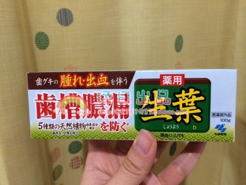Japan Kobayashi toothpaste natural Herbal Ingredient Improve Bleeding gums Mild toothpaste 100gin the Care cleaners/Sanitary napkins/Paper/Aromatherapy , Shampoo bath/Personal cleanliness , Oral Care , Toothpaste category - from Buy2taobao.com to provide professional Taobao agent buy service