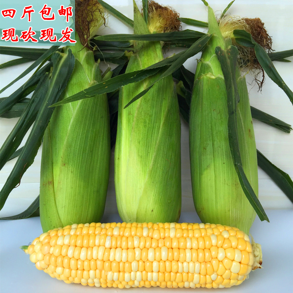 雲南特産新鮮水果玉米甜玉米棒鮮嫩可以生吃現砍4斤包郵在類目 水產肉類/新鮮蔬果/熟食, 新鮮蔬菜/蔬菜製品, 新鮮蔬菜, 新鮮玉米中 - 來自Buy2taobao.com提供專業的淘寶代購服務