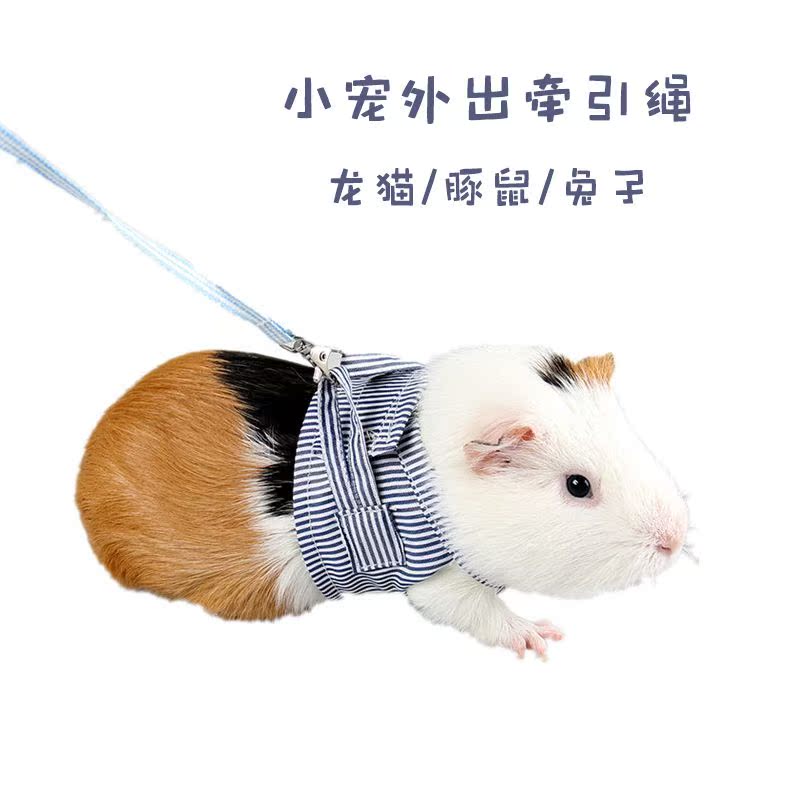 兔子溜溜绳溜龙猫牵引绳专用刺猬牵引绳龙猫牵引绳专用兔子溜溜绳|msdalam kategori haiwan peliharaan/makanan haiwan dan bekalan, Arnab dan bekalan, tali arnab - dari Buy2taobao.com untuk memberikan perkhidmatan ejen Taobao profesional membeli