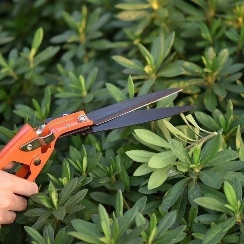 盆栽植物园艺工具户外收纳箱修花花木盆景花剪刀种花工具工具套装|msdalam kategori penghantaran bunga/bunga simulasi/tumbuhan berkebun, Gardening Supplies, Shovel/Harrow/Shovel/Hoe (baru), Shovel - dari Buy2taobao.com untuk memberikan perkhidmatan ejen Taobao profesional membeli