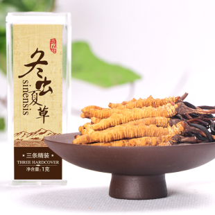  晨曦 冬虫夏草正品 青海玉树 超洁净 自食超划算 3根/克