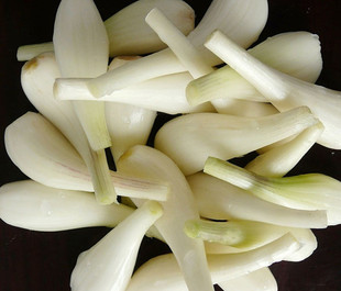  特价藠头新鲜荞头酸藠头必备500克蔬菜中的灵芝 现卖现挖