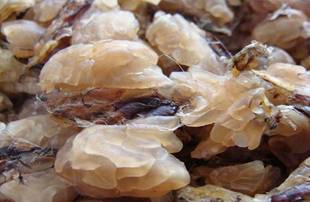 东北特产 长白山特大林蛙油 雪蛤 干货泡发无杂