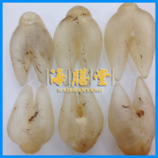  海膳堂 送礼佳品 散装 进口刺龟鱼胶 刺龟泡 花胶 鱼肚 鱼类制品