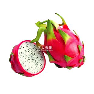 优质越南火龙果2粒装 进口火龙果 新鲜水果 白心果