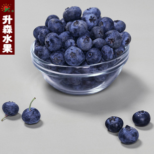  升森 进口 新鲜水果 智利蓝莓鲜果  4盒全国包邮顺丰