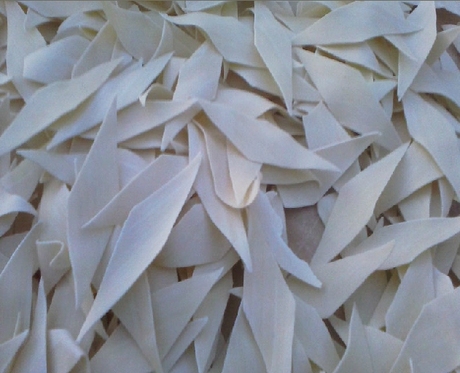 鸡蛋干面叶\/面片\/面旗 宝宝营养食品 易消化