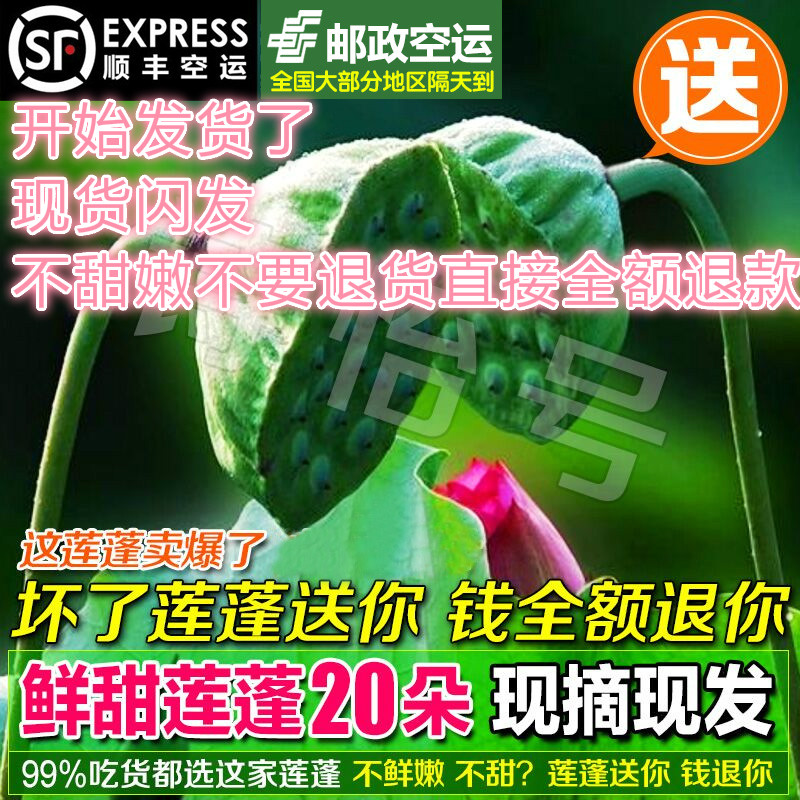 新鲜嫩莲蓬太空莲鲜甜绿色农家水果生吃白莲子米正宗赣州特产零食|ruв категории зерно риса/север и Юг сухих грузов/приправы, север и Юг сухих грузов/мясо сухих грузов, сухогрузный/родной, семена лотоса - от Buy2taobao.com для оказания профессиональной услуги покупки агента Taobao